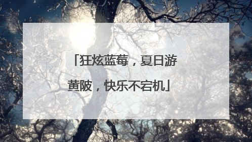 狂炫蓝莓，夏日游黄陂，快乐不宕机