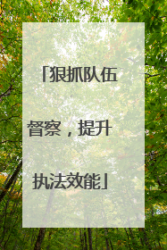 狠抓队伍督察，提升执法效能