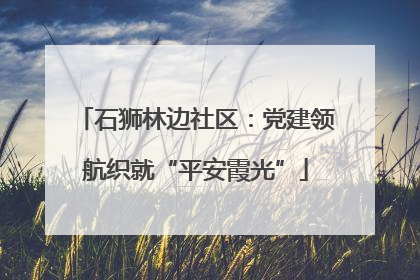 石狮林边社区：党建领航织就“平安霞光”