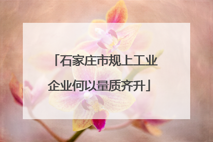 石家庄市规上工业企业何以量质齐升