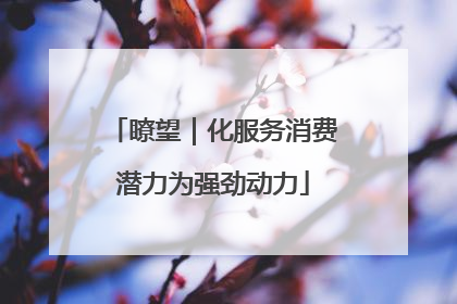 瞭望｜化服务消费潜力为强劲动力