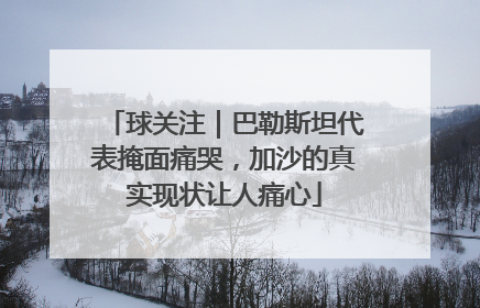 球关注｜巴勒斯坦代表掩面痛哭，加沙的真实现状让人痛心