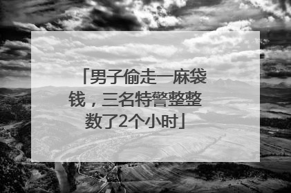 男子偷走一麻袋钱，三名特警整整数了2个小时