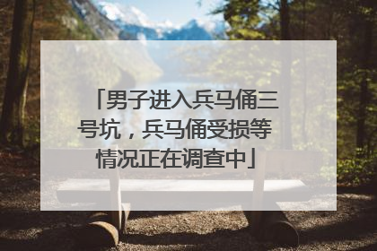 男子进入兵马俑三号坑，兵马俑受损等情况正在调查中
