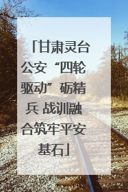 甘肃灵台公安“四轮驱动”砺精兵 战训融合筑牢平安基石