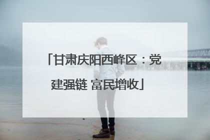 甘肃庆阳西峰区：党建强链 富民增收