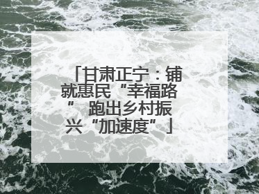 甘肃正宁：铺就惠民“幸福路” 跑出乡村振兴“加速度”