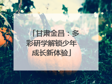 甘肃金昌：多彩研学解锁少年成长新体验