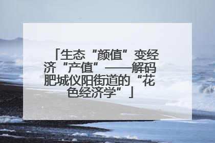 生态“颜值”变经济“产值”——解码肥城仪阳街道的“花色经济学”