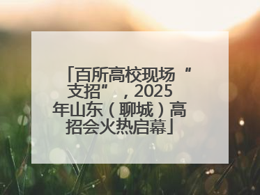 百所高校现场“支招”，2025年山东（聊城）高招会火热启幕