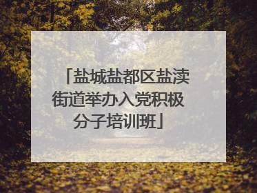 盐城盐都区盐渎街道举办入党积极分子培训班