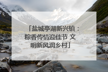 盐城亭湖新兴镇：粽香传情迎佳节 文明新风润乡村
