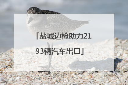 盐城边检助力2193辆汽车出口