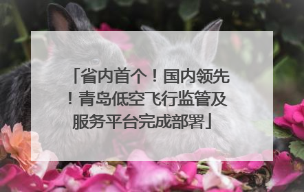 省内首个！国内领先！青岛低空飞行监管及服务平台完成部署