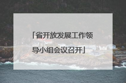 省开放发展工作领导小组会议召开