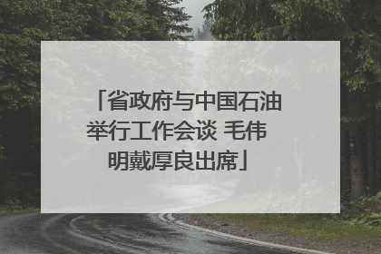 省政府与中国石油举行工作会谈 毛伟明戴厚良出席