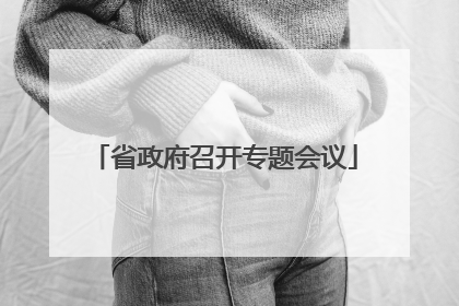 省政府召开专题会议