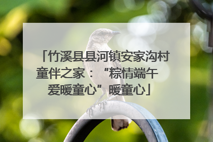 竹溪县县河镇安家沟村童伴之家：“粽情端午 爱暖童心”暖童心
