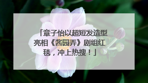 章子怡以超短发造型亮相《酱园弄》剧组红毯，冲上热搜！
