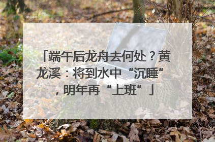 端午后龙舟去何处？黄龙溪：将到水中“沉睡”，明年再“上班”
