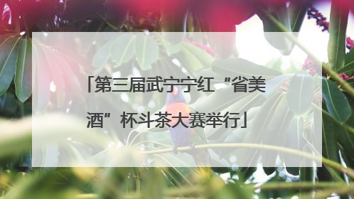 第三届武宁宁红“省美酒”杯斗茶大赛举行