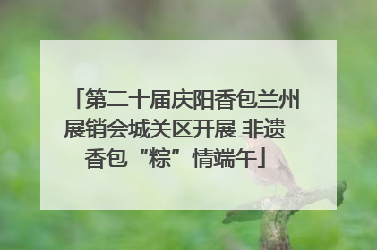 第二十届庆阳香包兰州展销会城关区开展 非遗香包“粽”情端午
