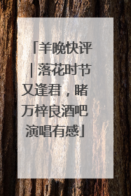 羊晚快评｜落花时节又逢君，睹万梓良酒吧演唱有感