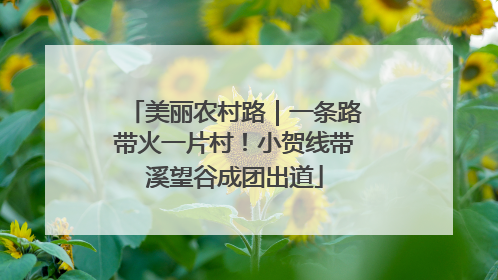 美丽农村路｜一条路带火一片村！小贺线带溪望谷成团出道