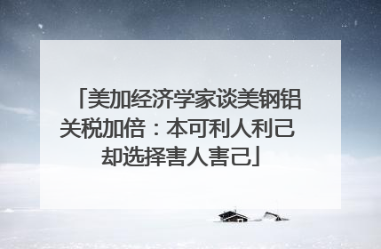 美加经济学家谈美钢铝关税加倍：本可利人利己 却选择害人害己