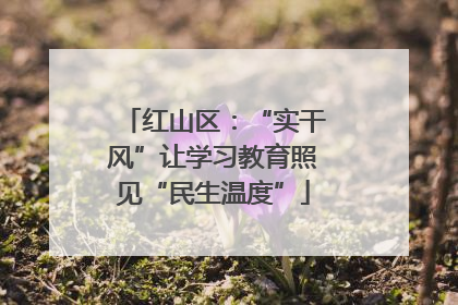红山区：“实干风”让学习教育照见“民生温度”