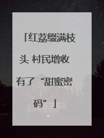 红荔缀满枝头 村民增收有了“甜蜜密码”