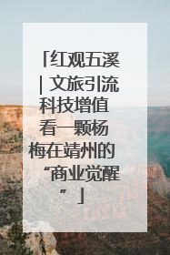红观五溪｜文旅引流 科技增值 看一颗杨梅在靖州的“商业觉醒”