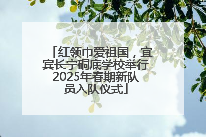 红领巾爱祖国，宜宾长宁硐底学校举行2025年春期新队员入队仪式