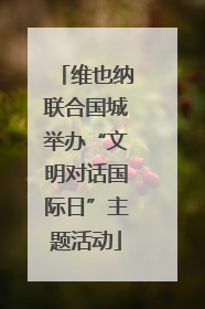 维也纳联合国城举办“文明对话国际日”主题活动