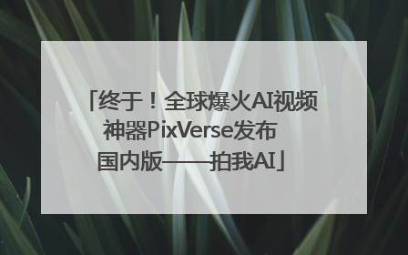 终于！全球爆火AI视频神器PixVerse发布国内版——拍我AI
