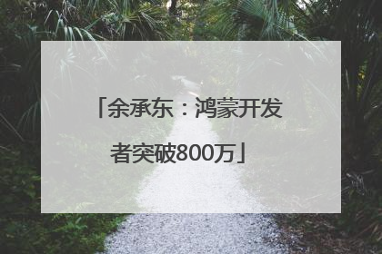 余承东：鸿蒙开发者突破800万