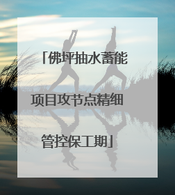 佛坪抽水蓄能项目攻节点精细管控保工期
