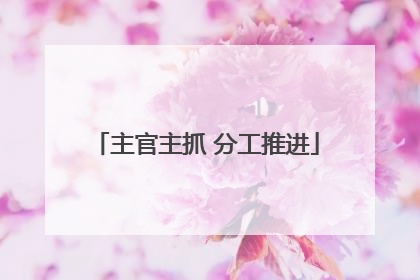 主官主抓 分工推进