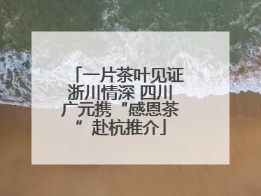 一片茶叶见证浙川情深 四川广元携“感恩茶”赴杭推介