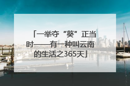 一举夺“葵”正当时——有一种叫云南的生活之365天