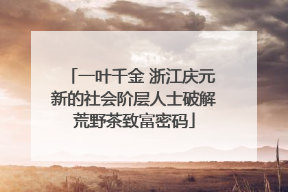一叶千金 浙江庆元新的社会阶层人士破解荒野茶致富密码