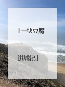 一块豆腐进城记