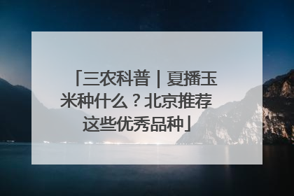 三农科普｜夏播玉米种什么？北京推荐这些优秀品种