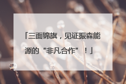 三面锦旗，见证振森能源的“非凡合作”！