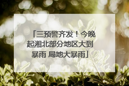 三预警齐发！今晚起湘北部分地区大到暴雨 局地大暴雨