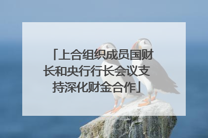 上合组织成员国财长和央行行长会议支持深化财金合作