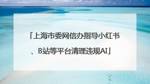 上海市委网信办指导小红书、B站等平台清理违规AI