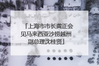 上海市市长龚正会见马来西亚沙捞越州副总理沈桂贤