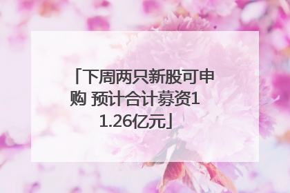 下周两只新股可申购 预计合计募资11.26亿元
