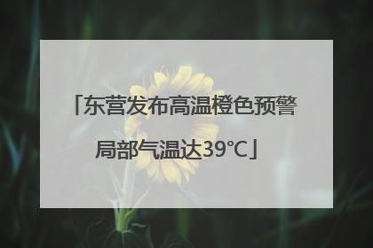 东营发布高温橙色预警 局部气温达39℃